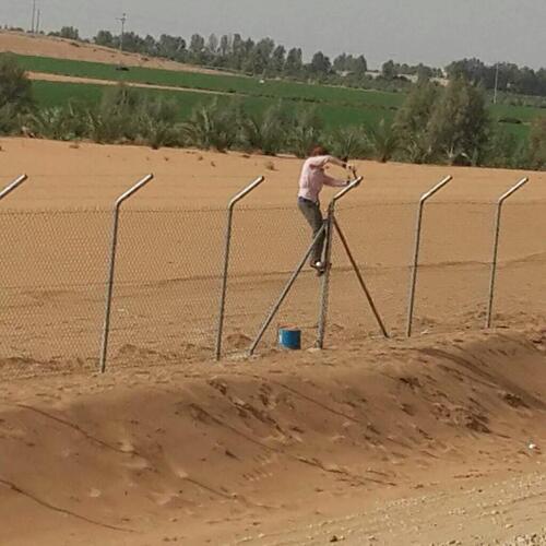 شبوك الرياض: الحل الأمثل للأمان والفصل بين المساحات