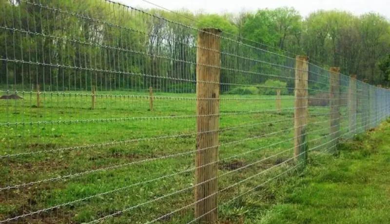 أرخص مقاول تركيب شبوك بالرياض، تركيب شبوك مزارع الرياض، مقاول شبوك تسوير أراضي، أسعار الشبوك في الرياض 2026.