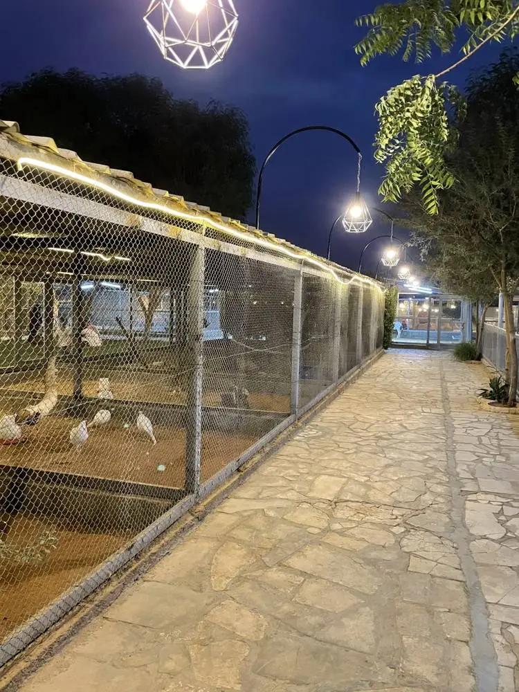 أرخص مقاول تركيب شبوك بالرياض، تركيب شبوك مزارع الرياض، مقاول شبوك تسوير أراضي، أسعار الشبوك في الرياض 2026.