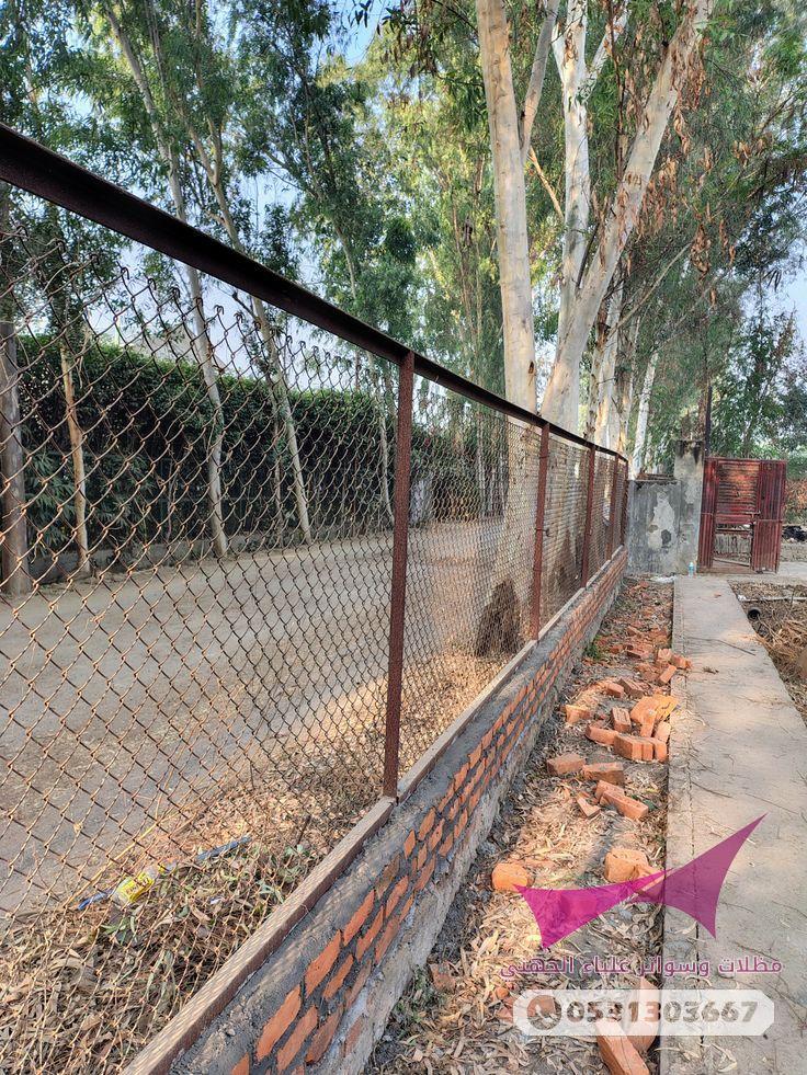 شبوك الرياض